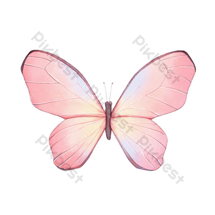 Pink Butterfly Background PNG