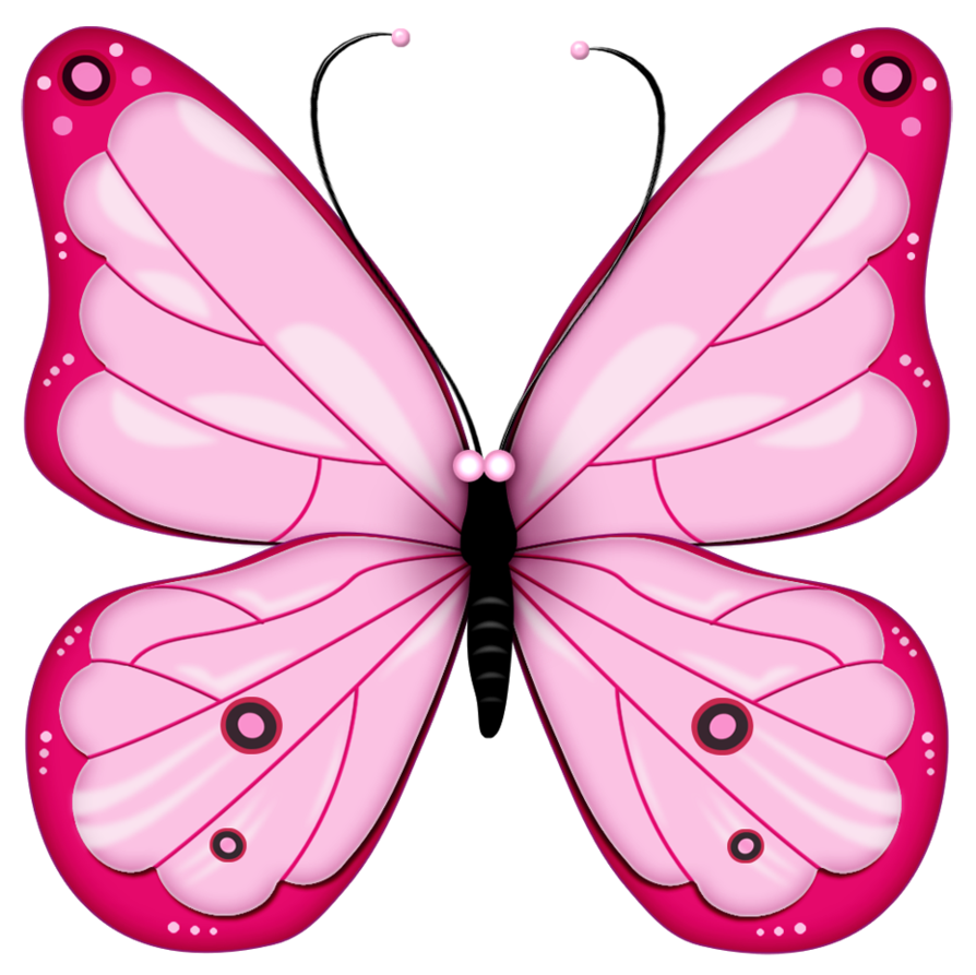 Pink Butterfly No Background