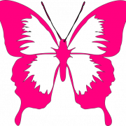 Pink Butterfly PNG HD Image