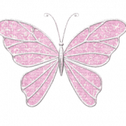 Pink Butterfly PNG Image HD