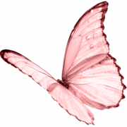 Pink Butterfly PNG Images HD