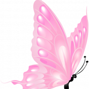 Pink Butterfly PNG Picture