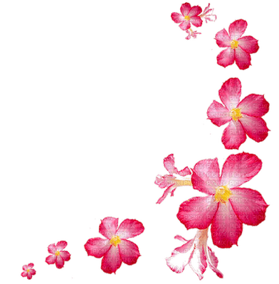 Pink PNG Cutout
