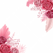 Pink PNG Images HD