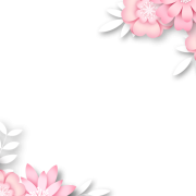 Pink PNG Pic