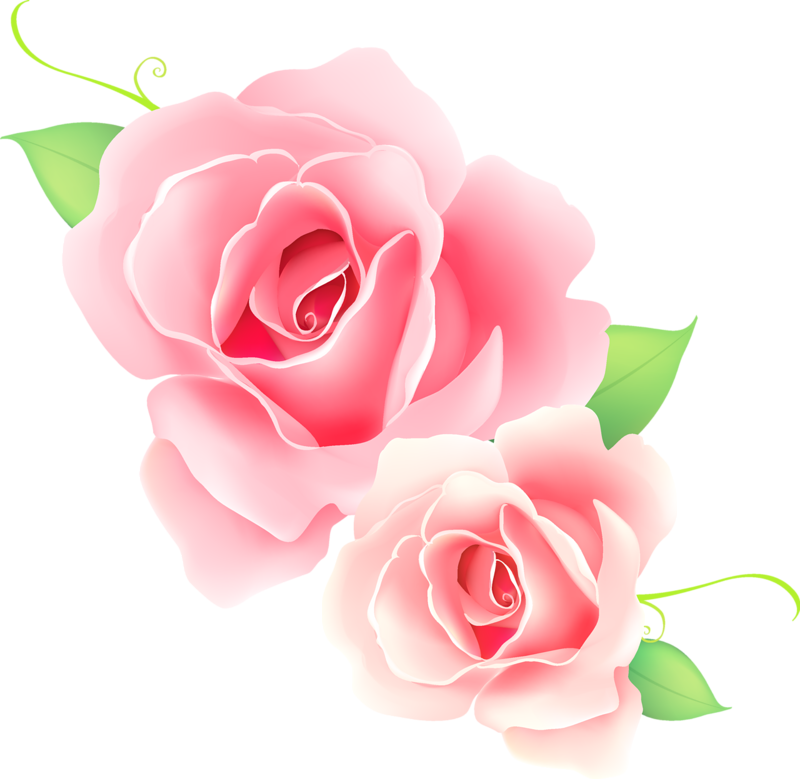 Pink Rose PNG Clipart