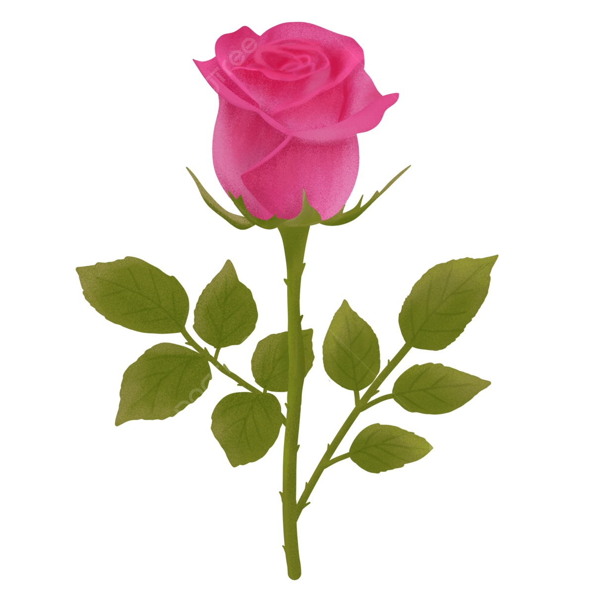 Pink Rose PNG Free Image
