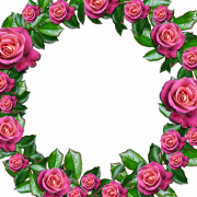 Pink Rose PNG Image File