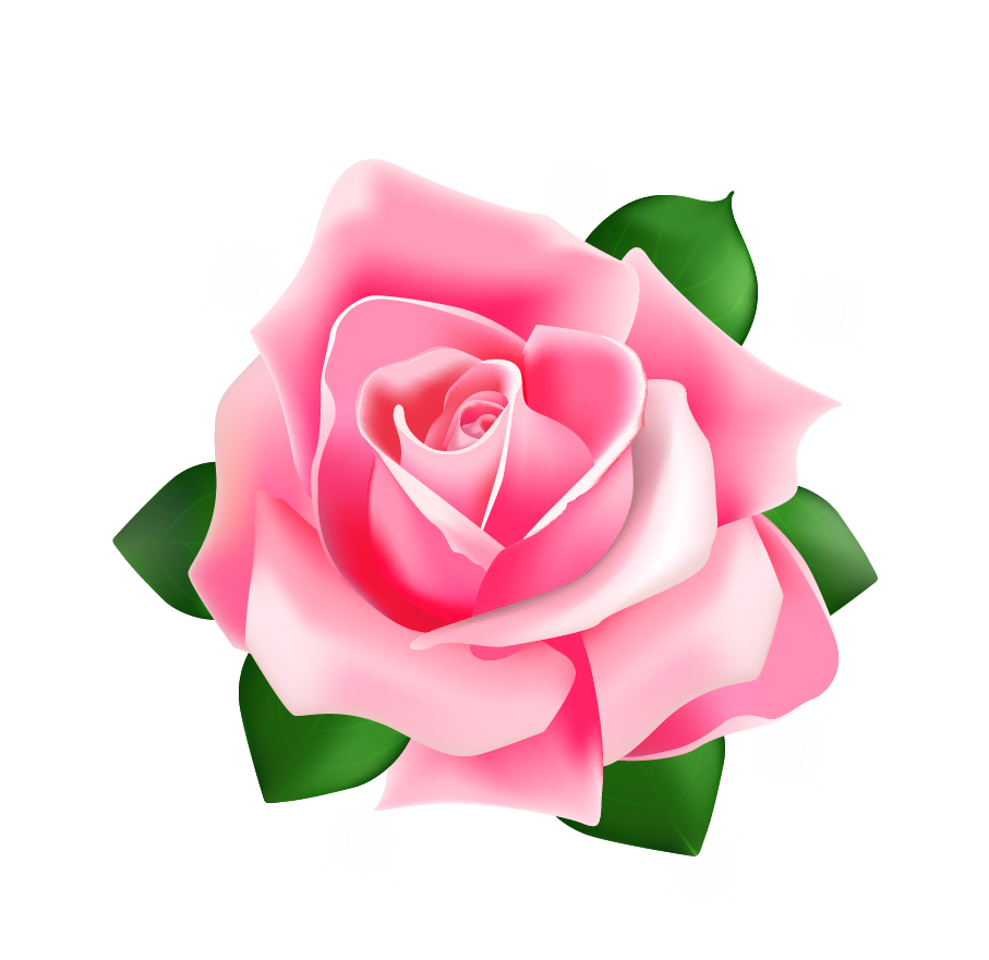 Pink Rose PNG Image