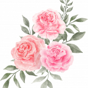 Pink Rose PNG Picture