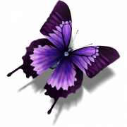 Purple Butterfly Background PNG