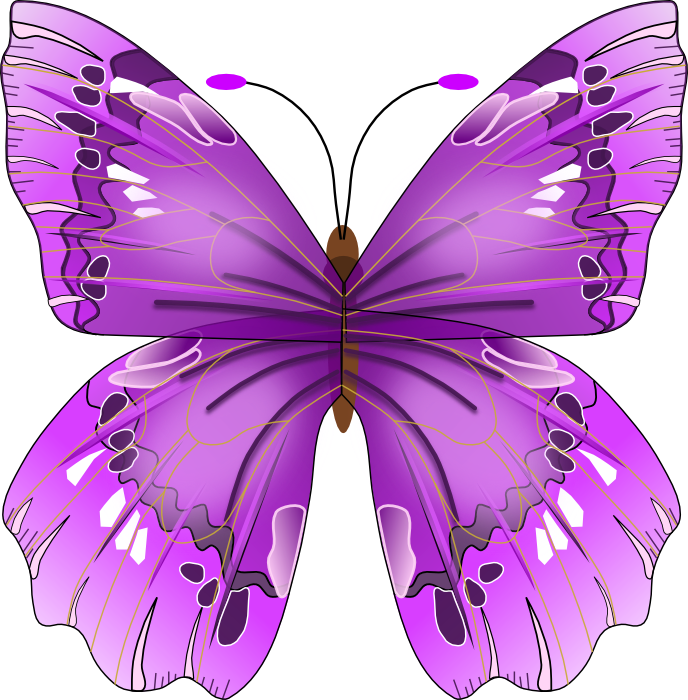 Purple Butterfly No Background