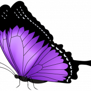 Purple Butterfly PNG Cutout