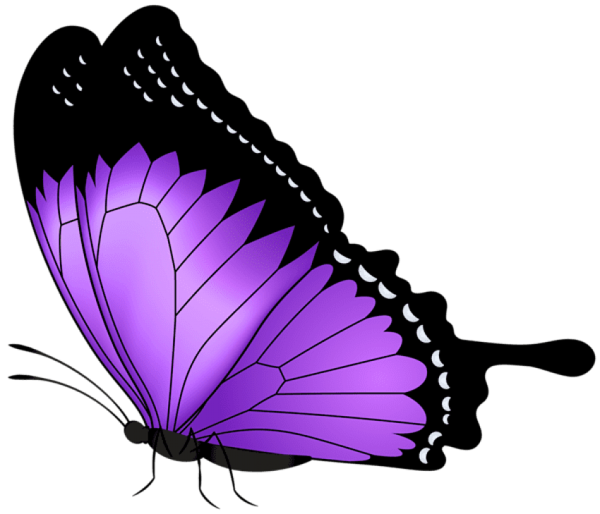 Purple Butterfly PNG Cutout