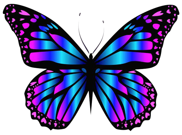 Purple Butterfly PNG HD Image