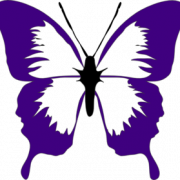 Purple Butterfly PNG Image