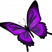 Purple Butterfly PNG Images