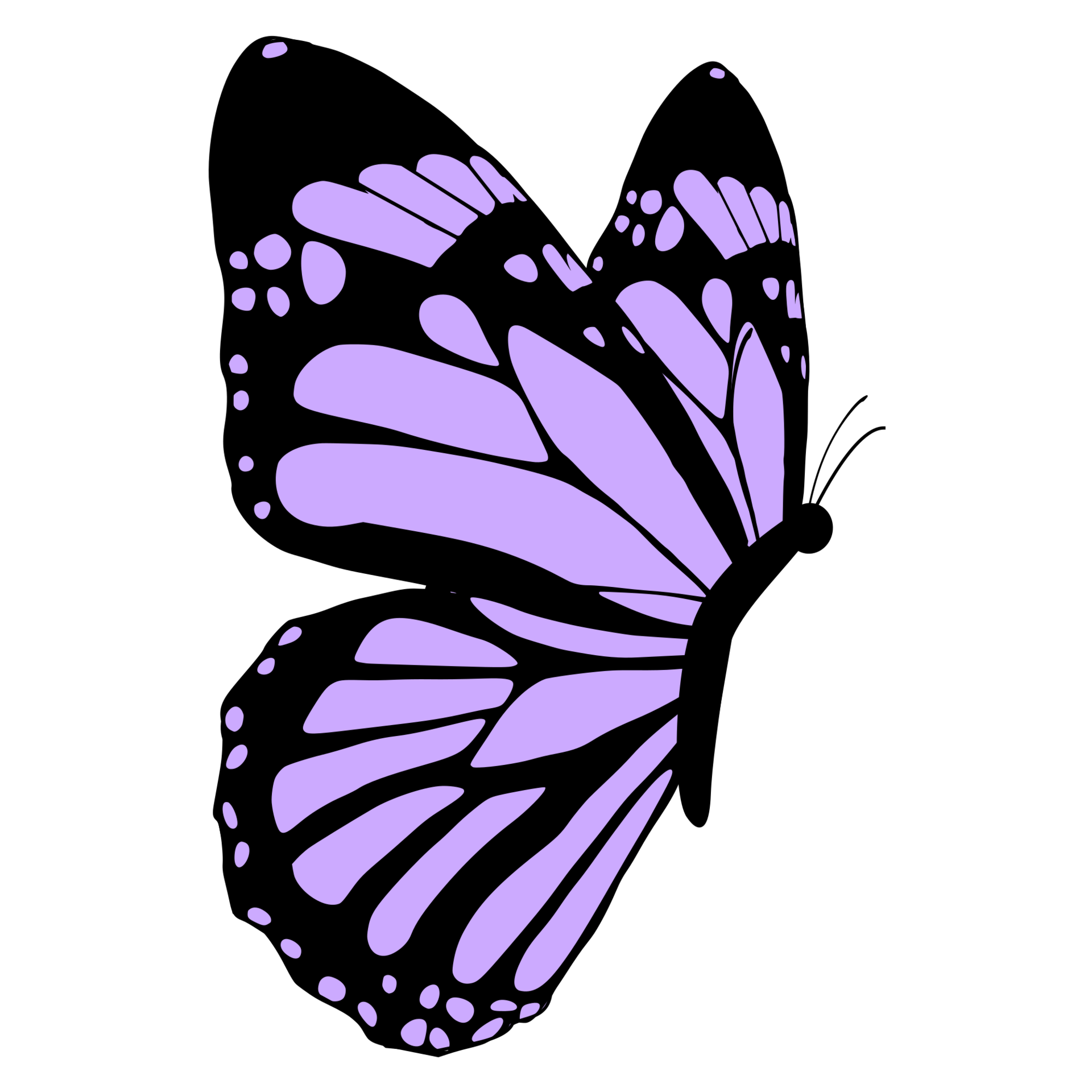 Purple Butterfly PNG Images HD