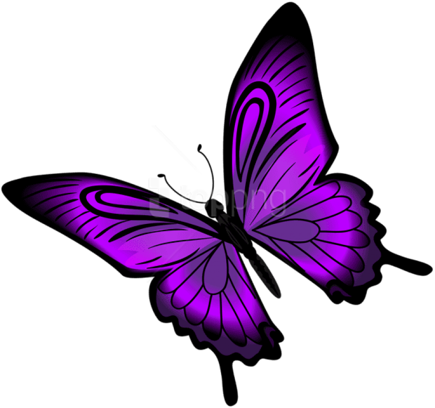 Purple Butterfly PNG Images