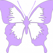 Purple Butterfly PNG Photos