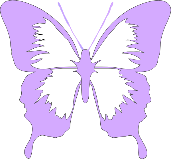 Purple Butterfly PNG Photos