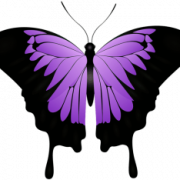 Purple Butterfly PNG Pic
