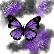 Purple Butterfly PNG Picture