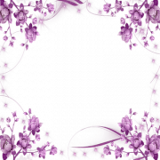 Purple Flower PNG Cutout