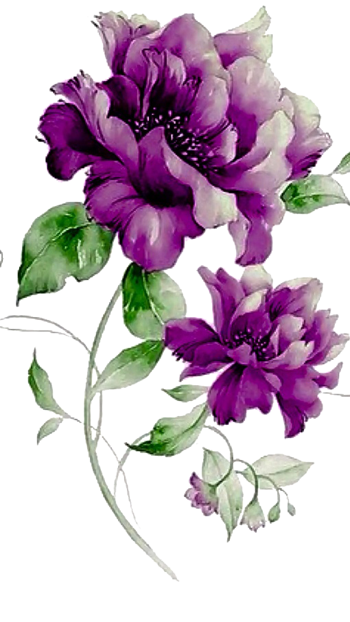 Purple Flower PNG Image File