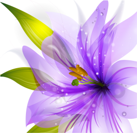 Purple Flower PNG Image