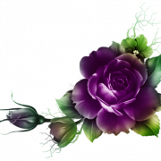 Purple Flower PNG Photo