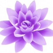 Purple Flower PNG Pic