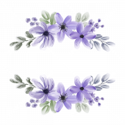 Purple Flower Transparent