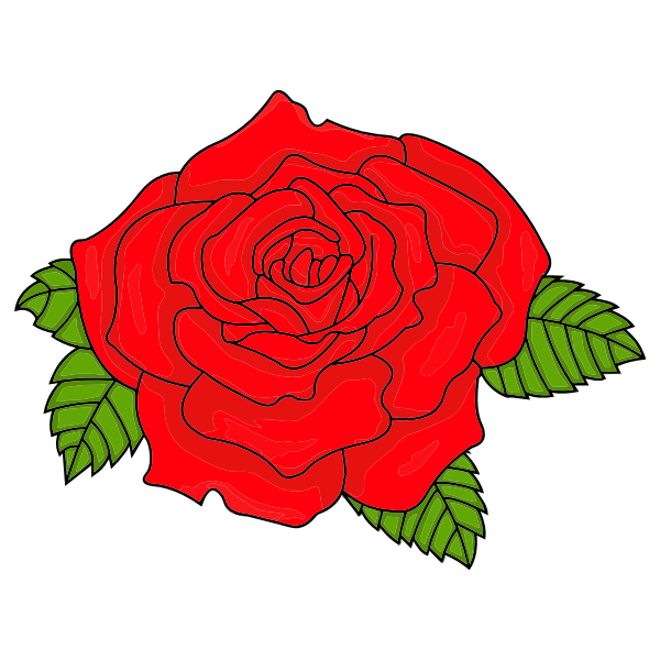 Red Rose No Background