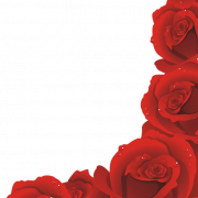 Red Rose PNG Cutout