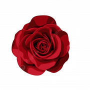 Red Rose PNG HD Image
