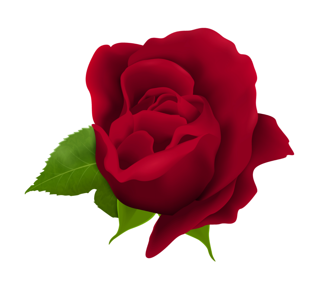 Red Rose PNG Image File