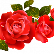 Red Rose PNG Images