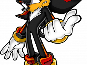Shadow The Hedgehog PNG Photo