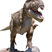 T Rex Background PNG