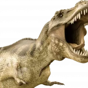 T Rex PNG Background