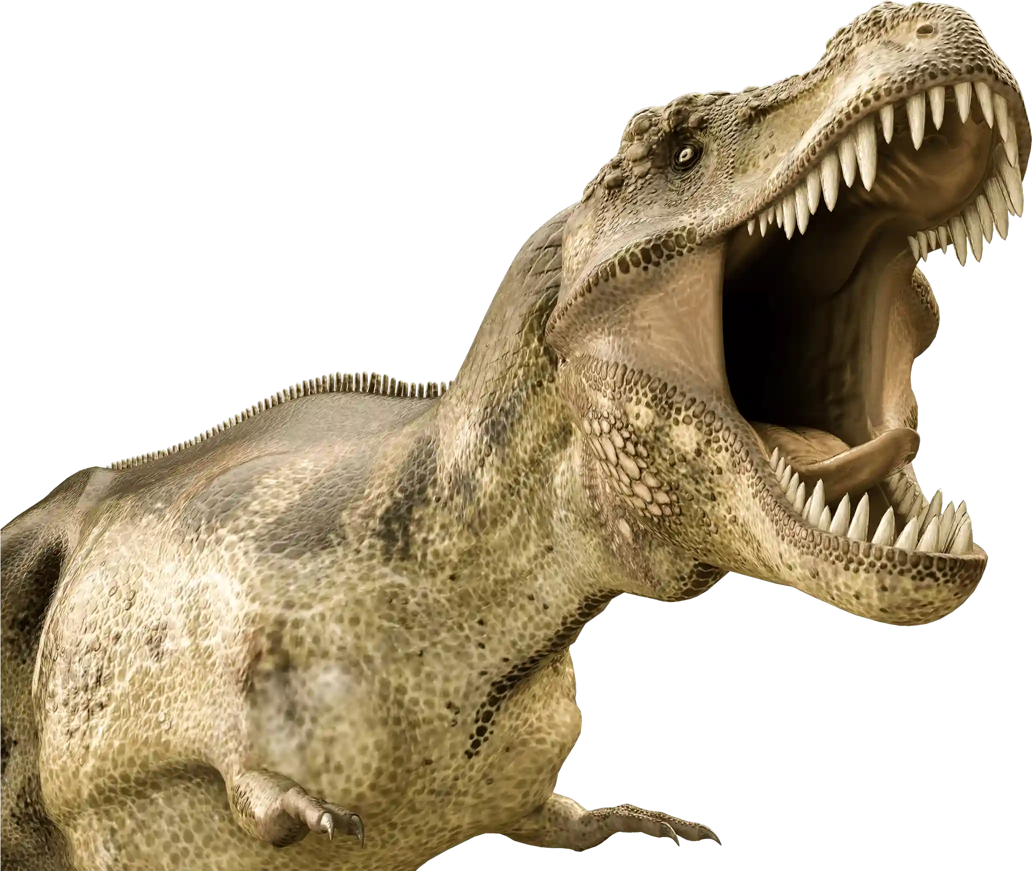 T Rex PNG Background