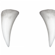 Tooth Background PNG
