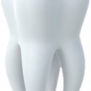 Tooth PNG File