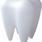 Tooth PNG Pic