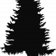 Tree Silhouette PNG Background
