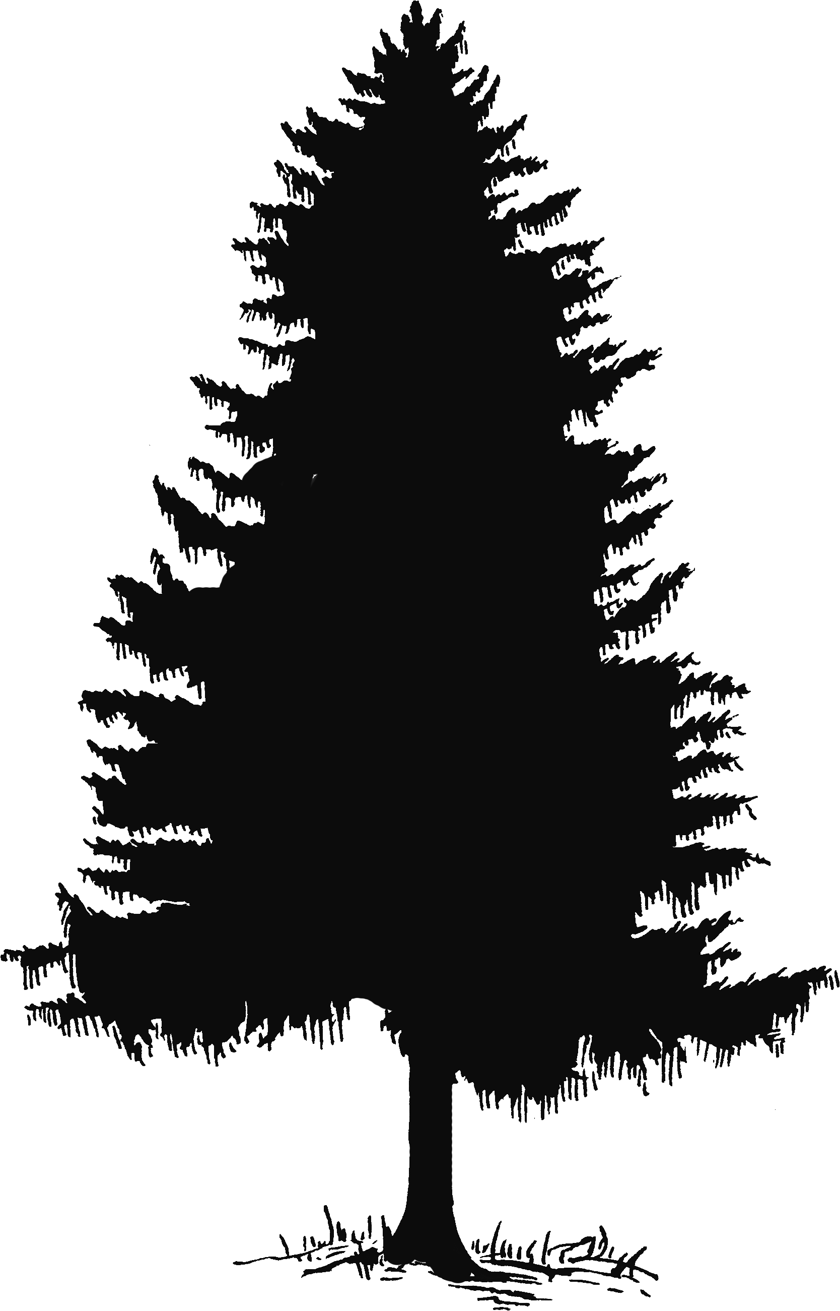 Tree Silhouette PNG Background