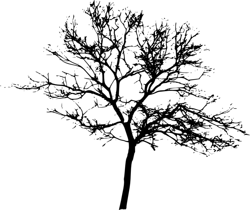 Tree Silhouette PNG Cutout