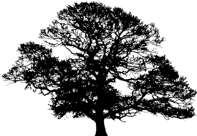 Tree Silhouette PNG Images HD
