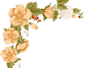 White Flower PNG Pic